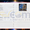 Flux Twin EA MT5 Inputs 2