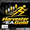 Harvester-EA-Gold-MT4