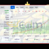 Harvester EA Gold MT4 Signal MyFxBook