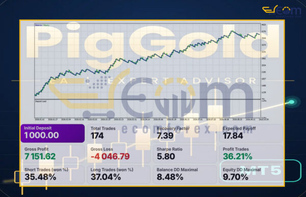 PigGold EA MT5 Backtests Result