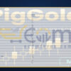 PigGold EA MT5 Input
