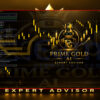 Prime Gold AI EA MT5 Review
