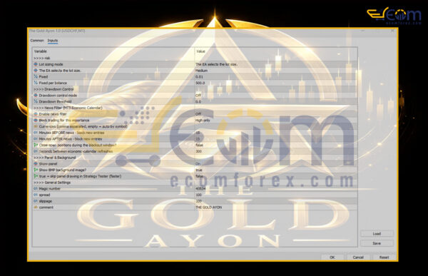 The Gold Ayon EA MT5 Input