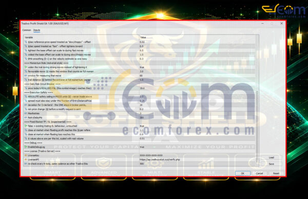 Tradivo Profit Shield EA MT5 Inputs 2